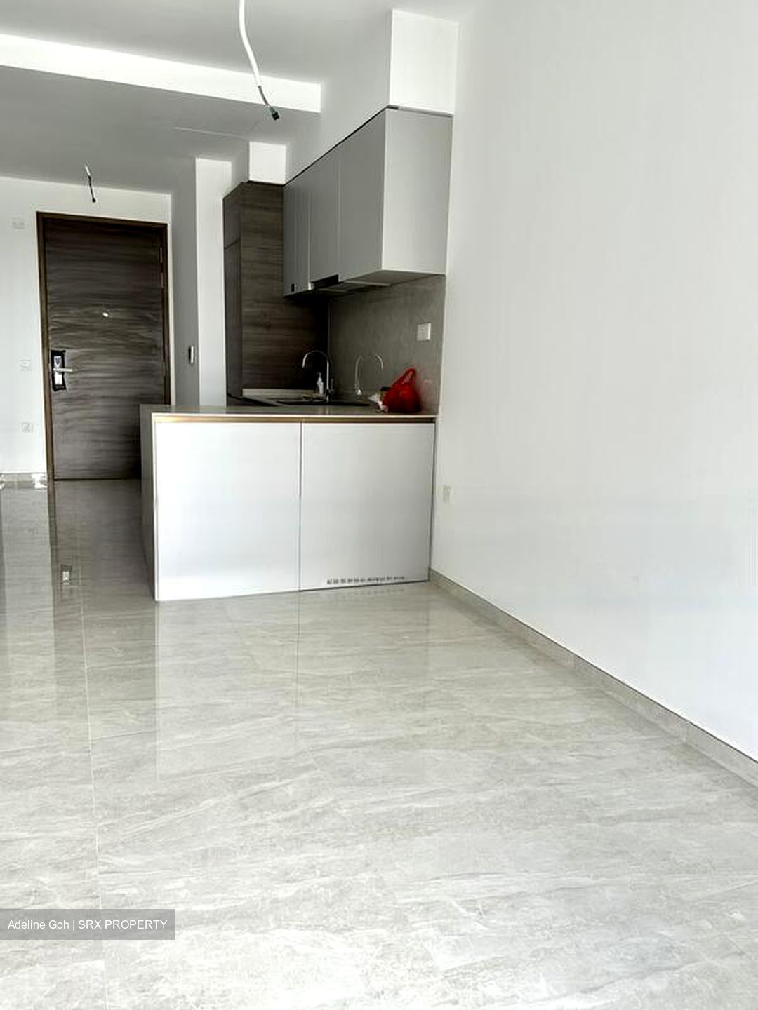 The Florence Residences (D19), Apartment #487503211